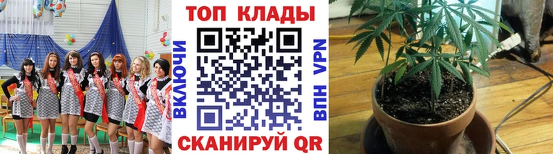 Цена Грайворон Alpha-PVP Кокаин Меф мяу мяу Канабис