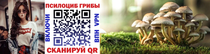 Галлюциногенные грибы GOLDEN TEACHER  Грайворон 