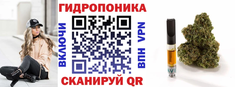 где продают наркотики  Грайворон  Шишки марихуана семена 